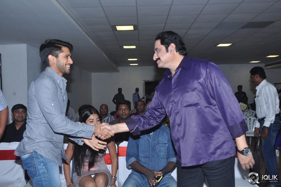 Oka-Laila-Kosam-Movie-Success-Meet